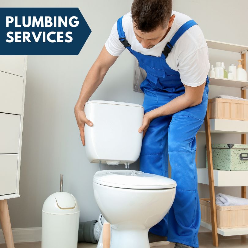 Plumbing Company in Ionia, IA